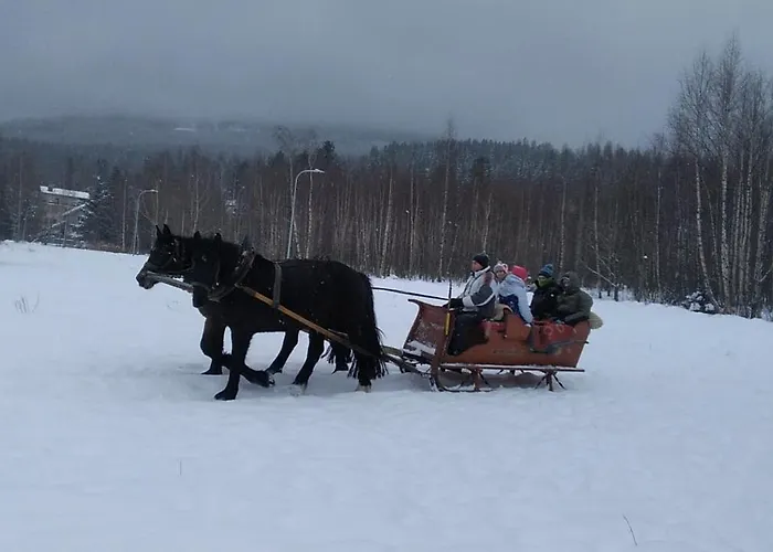 Komfortowe W Villi Blisko Natury * Karpacz